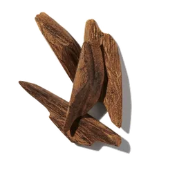 Oud