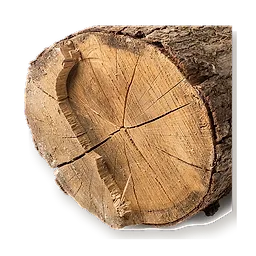 Bois sec