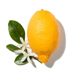 Bergamote