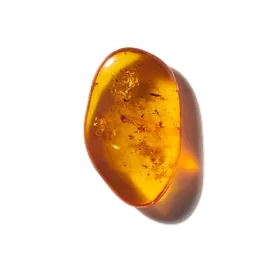 Ambre