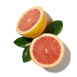 Pamplemousse