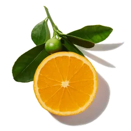 Mandarine